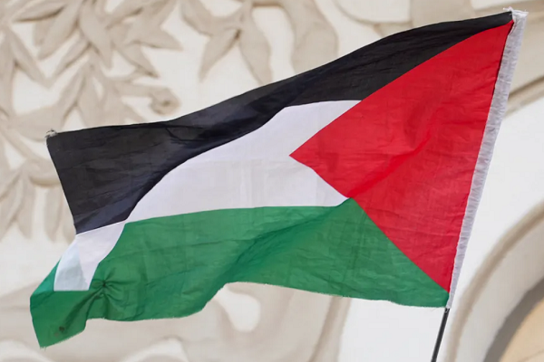 Palestine state- Reality or fiction- The Public Review